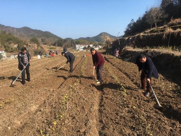 fae7a3e3933f43c18f330951dfc6d207.jpg fae7a3e3933f43c18f330951dfc6d207.jpg