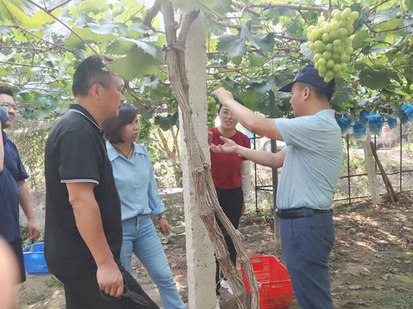 6bf40c43c3674f2baabda54884d450ae.jpg 6bf40c43c3674f2baabda54884d450ae.jpg