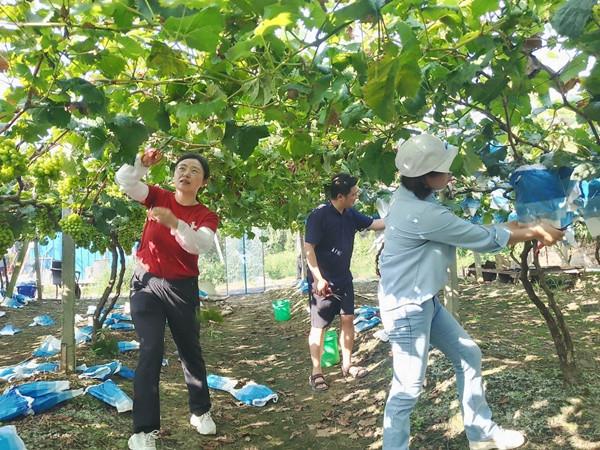 e0f9ba37c00a48849d051088b2dc3811.jpg e0f9ba37c00a48849d051088b2dc3811.jpg