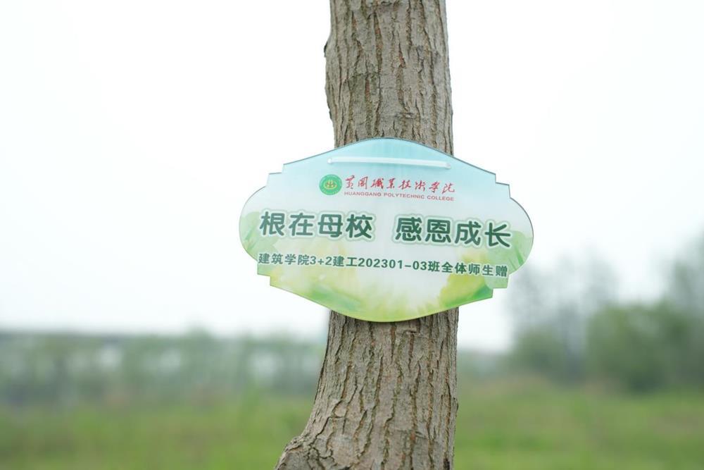 cdb2f282e7334dfd95d3ad3e6d9706ec.Jpeg cdb2f282e7334dfd95d3ad3e6d9706ec.Jpeg