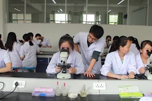 药学专业实习实训